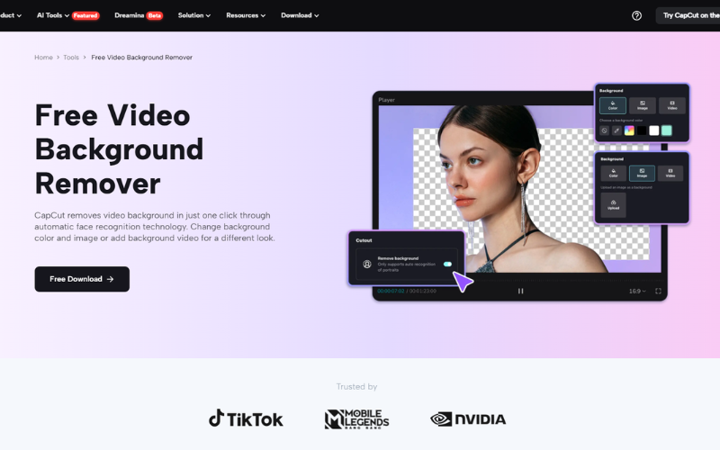 Image 6: Free Video Background Remover