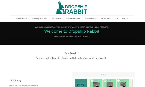 Image 11: Dropship Rabbit