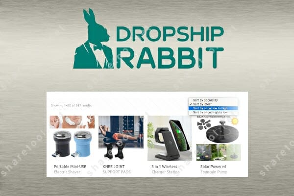 Image 10: Dropship Rabbit