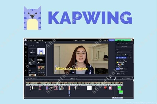 Image 4: Kapwing