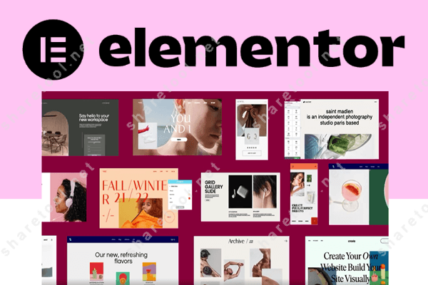 Resim 2: Elementor