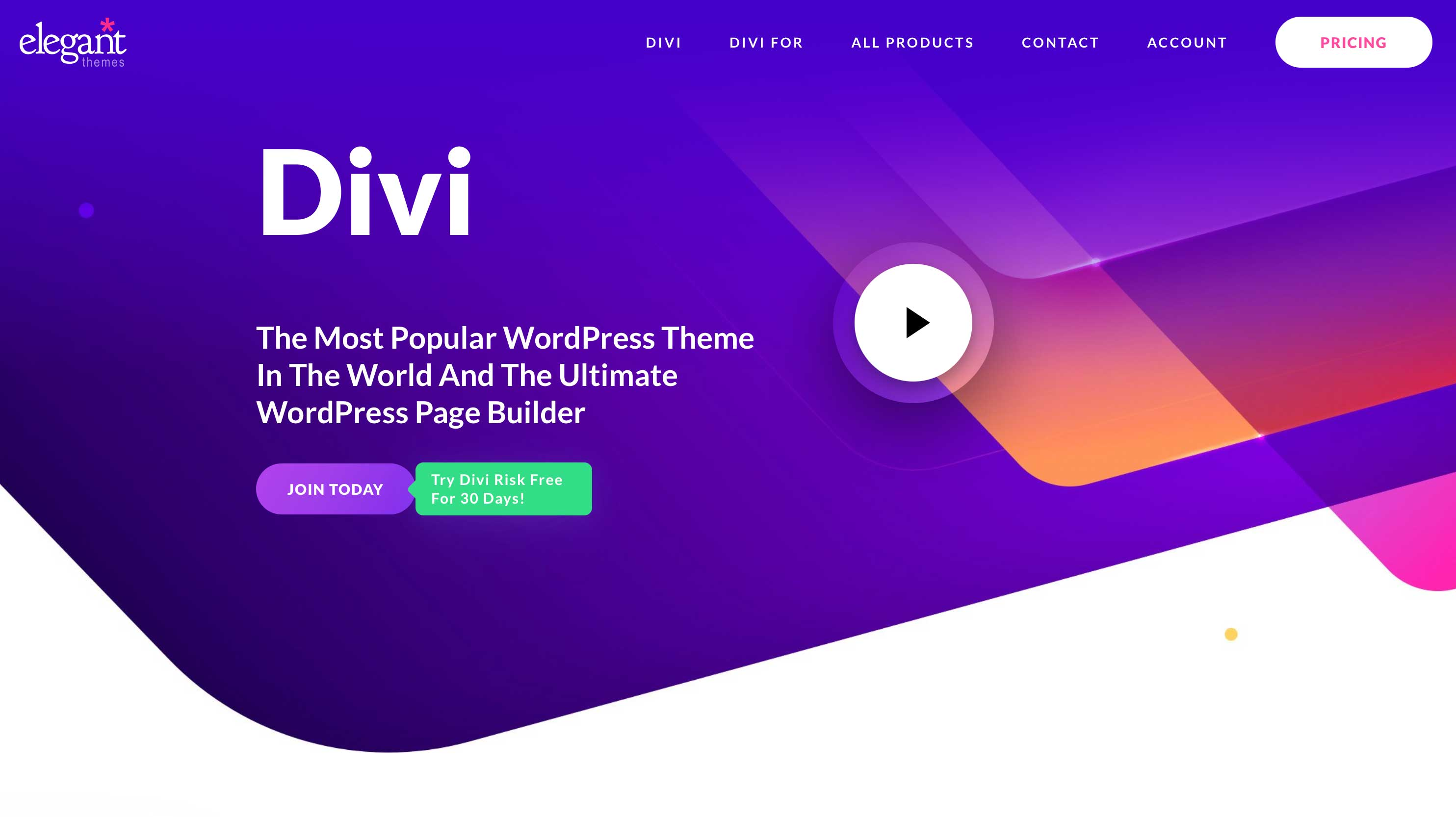 Image 8: Divi