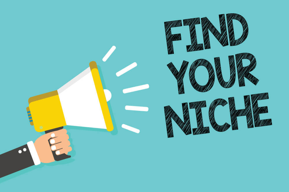Image 3: Pick your niche
