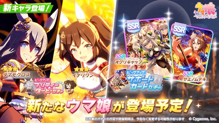 Image 9: Festival Tamamo Cross and Festival Inari One banner