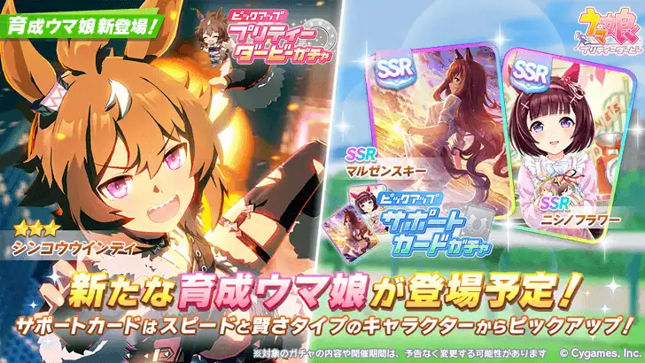 Image 19: Shinko Windy Uma Musume banner