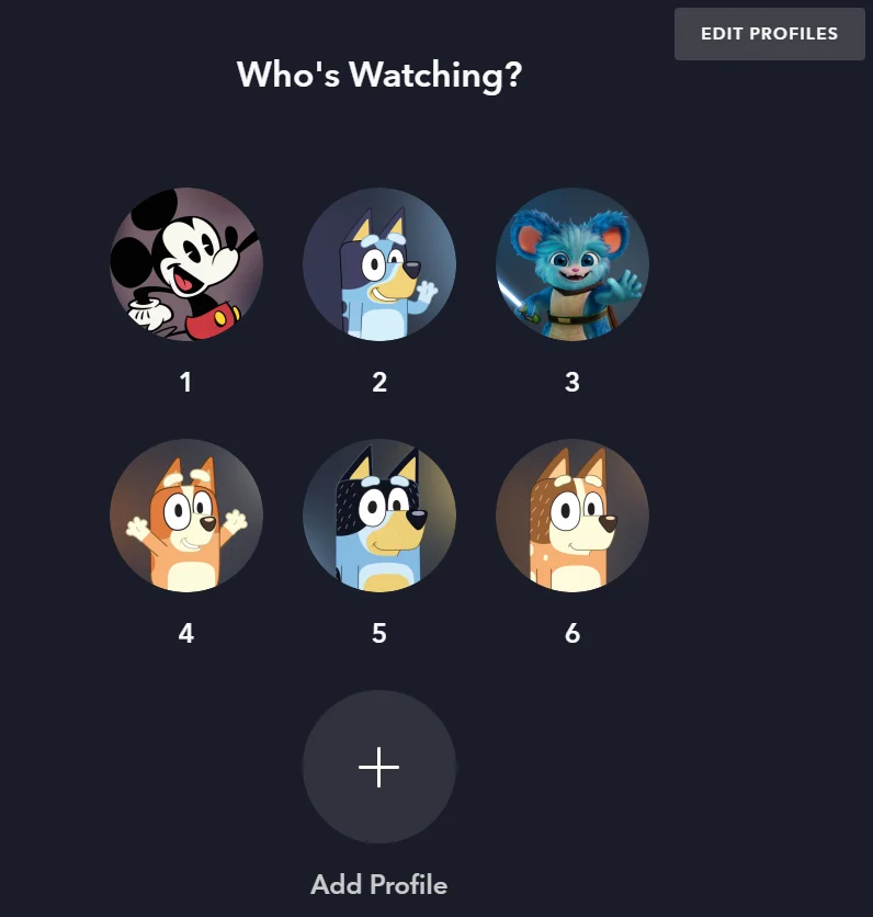 Resim 3: Disney+ profil ekranı örneği