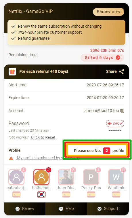 Resim 8: Atanan profil numarasını gösteren GamsGo abonelik ayrıntıları