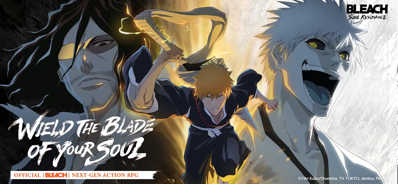 Image 14: Bleach: Soul Resonance