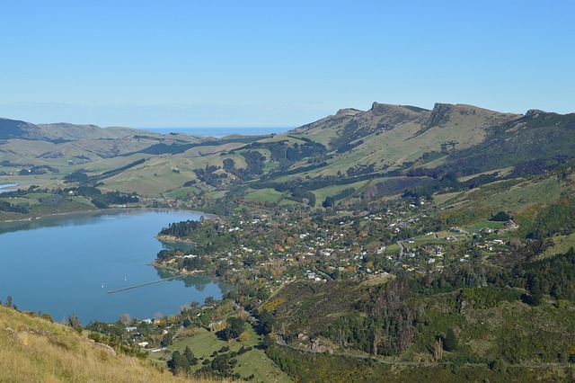 New Seasonal Work Visas in New Zealand: A Game-Changer for the Agricultural Sector