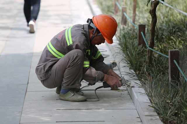 France Faces Growing Pressure on Migrant Workers Amid International Migrants Day