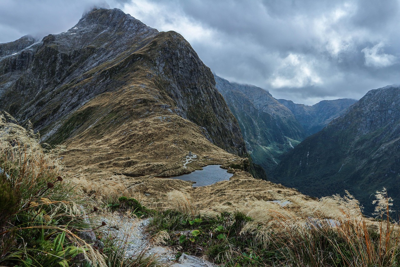 Understanding New Zealand's Active Investor Plus Visa: A Game Changer for Residency-by-Investment