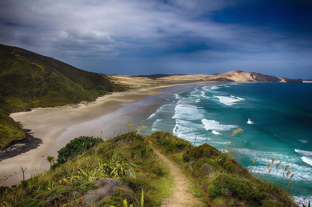 Understanding New Zealand's Updated Residency-by-Investment: The Active Investor Plus Visa