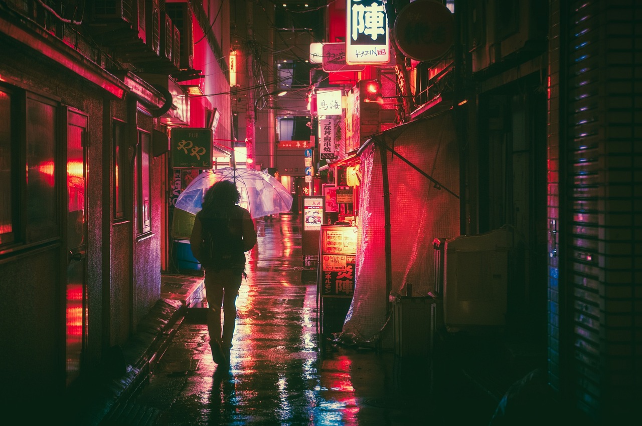 How a Japan Visa Opens Doors for Indian Travelers to Seven More Countries