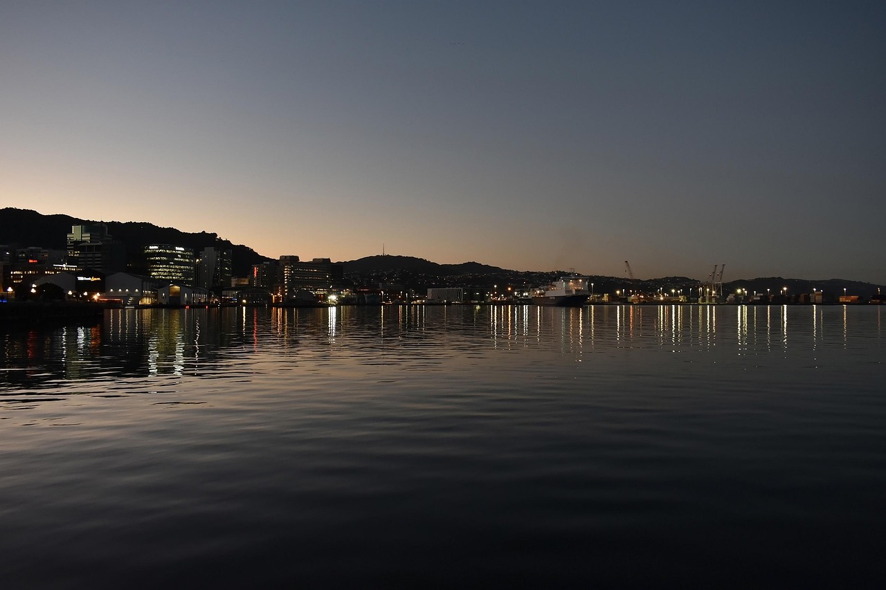 Flawed Immigration Visa Decisions Spark Calls for Accountability in New Zealand
