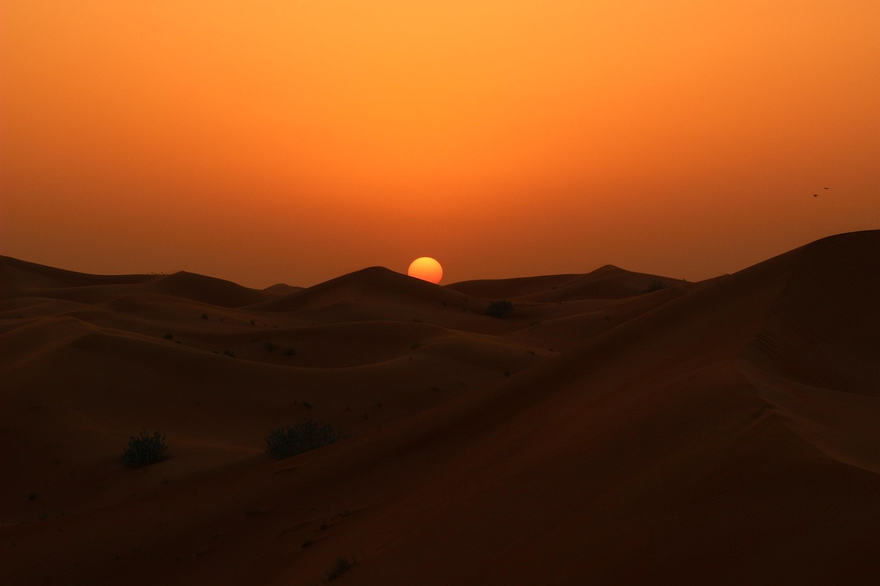 UAE's Visa on Arrival for South Africans: A Game-Changer for Travel and Tourism