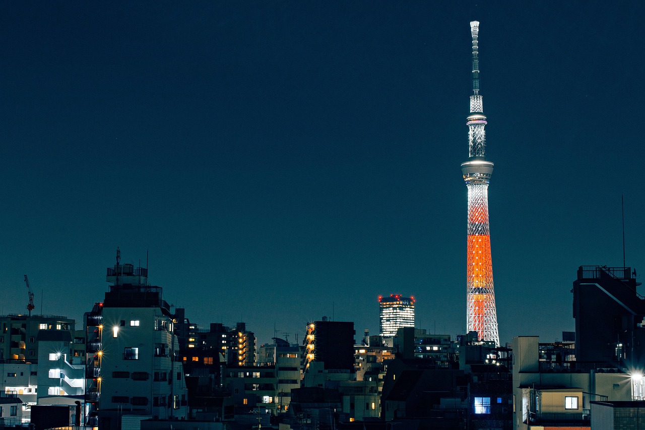 Japan's JESTA 2026: A Game-Changer for Electronic Visa Applications