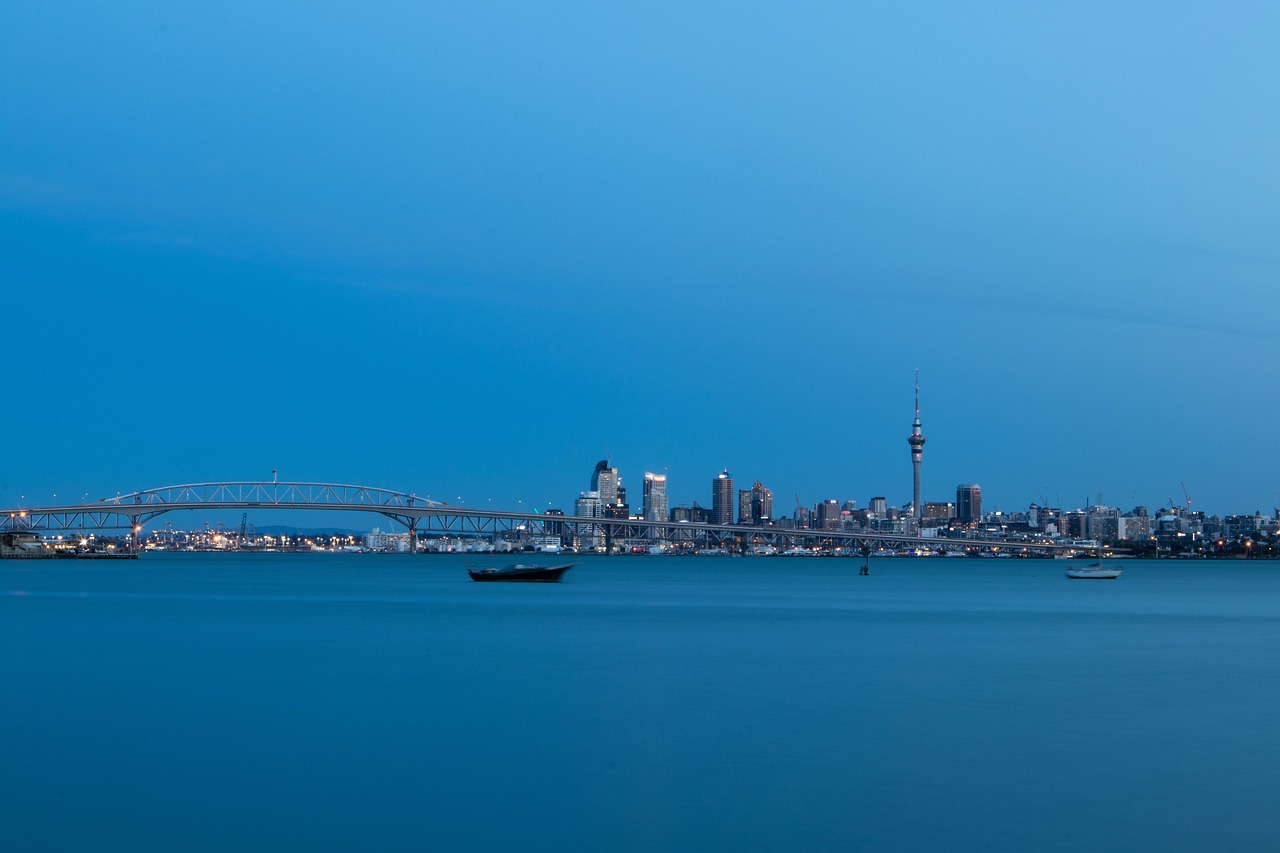 New Zealand's Visa Milestone: Over 1 Million Applications Processed in 2025