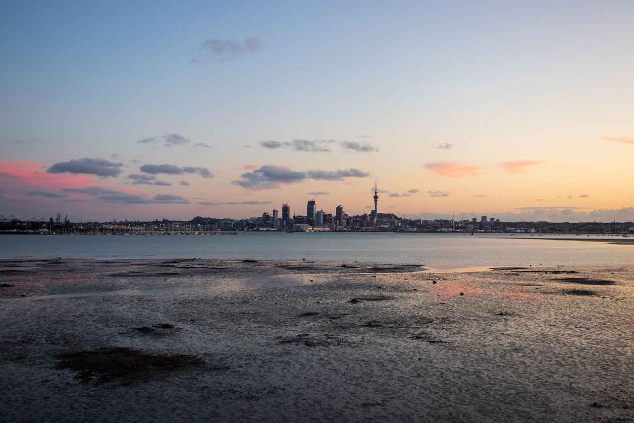 New Zealand's Upcoming Income Threshold Changes: What It Means for Parent Visa Applicants