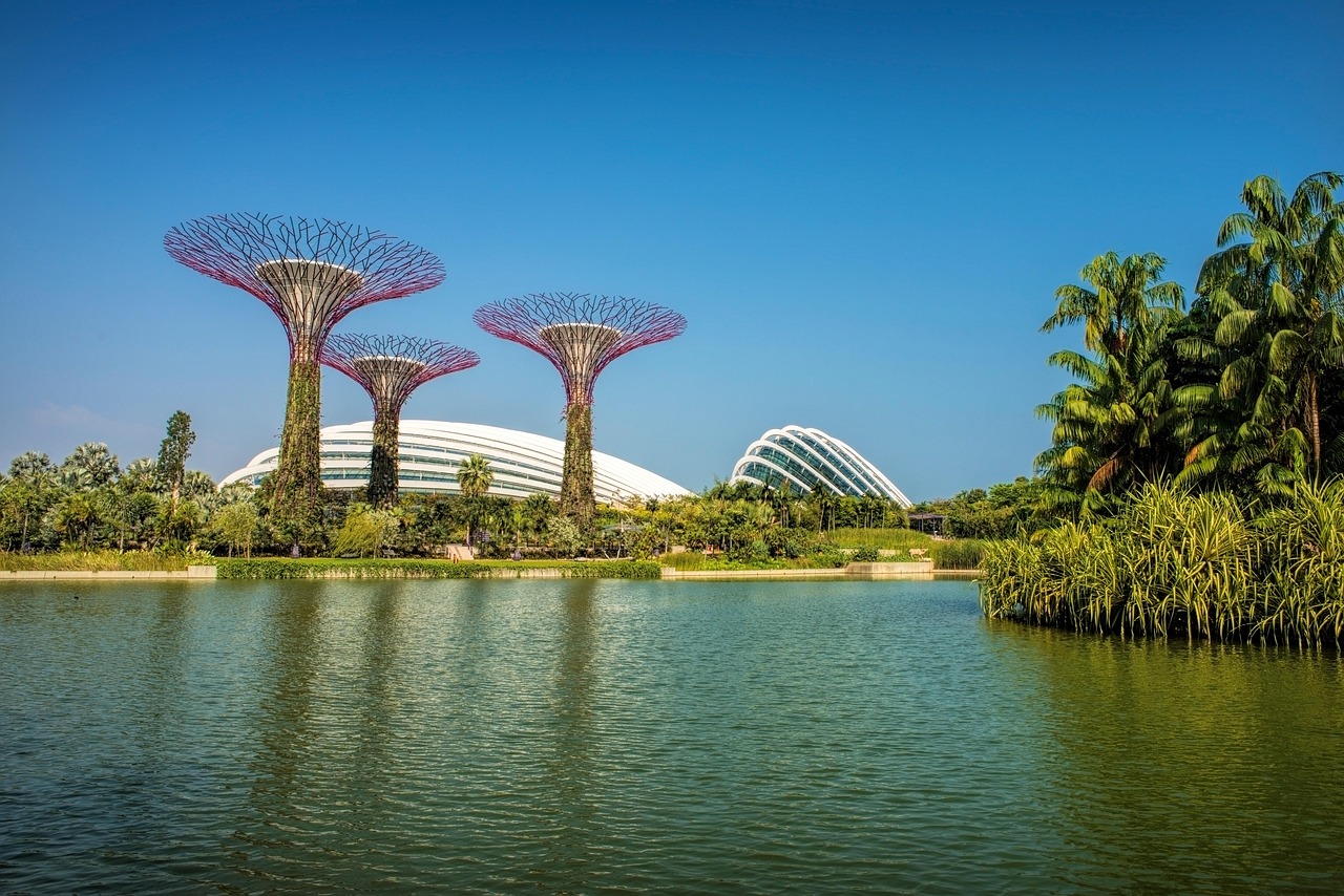 Singapore's Immigration Investment Scheme Scandal: A Wake-Up Call for Policy Reform