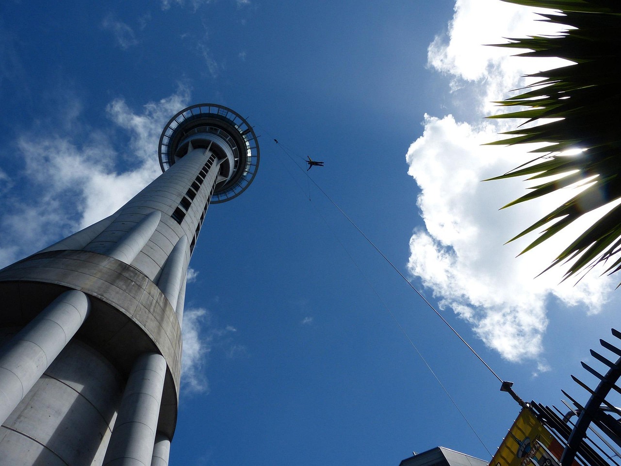 New Zealand's Upcoming Open Work Visa Overhaul: What You Need to Know