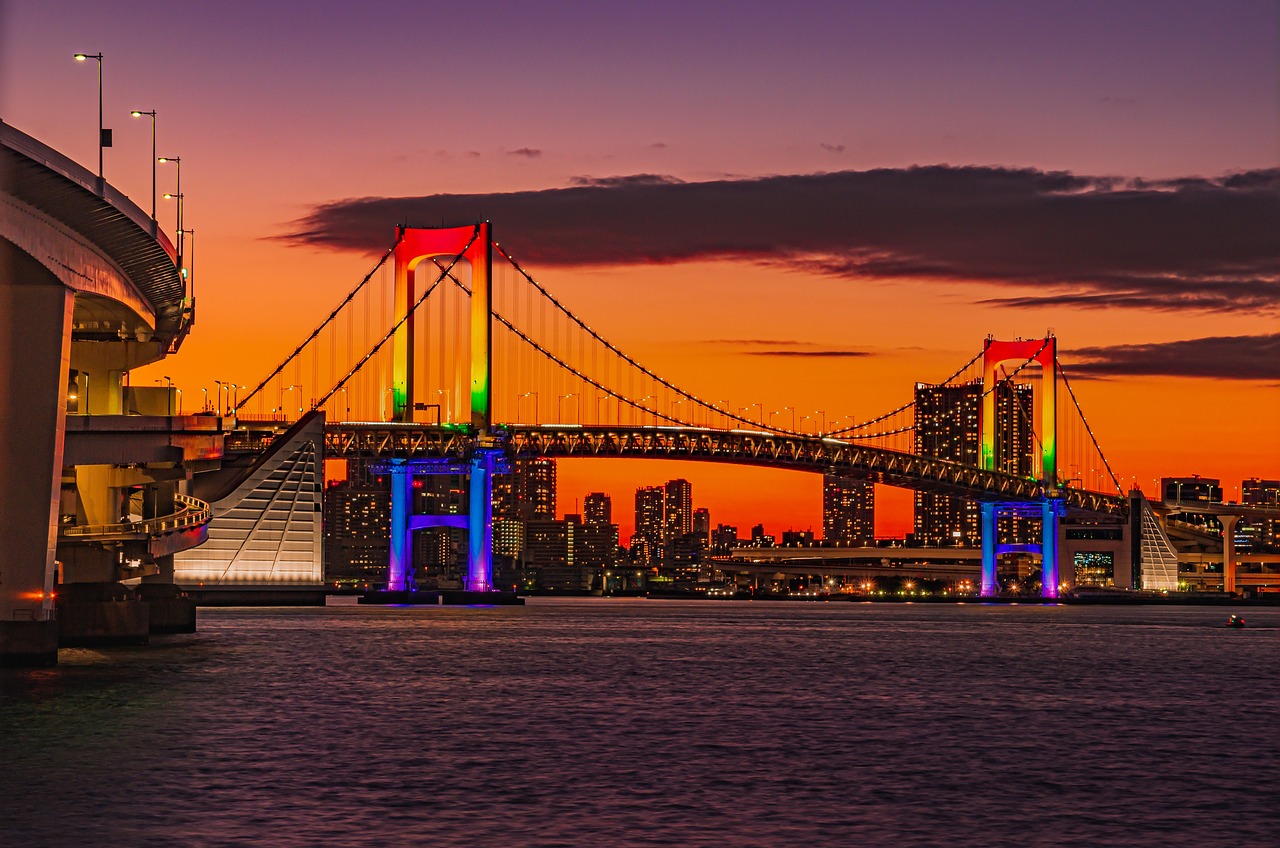 Japan's New Online Immigration Screening: What You Need to Know