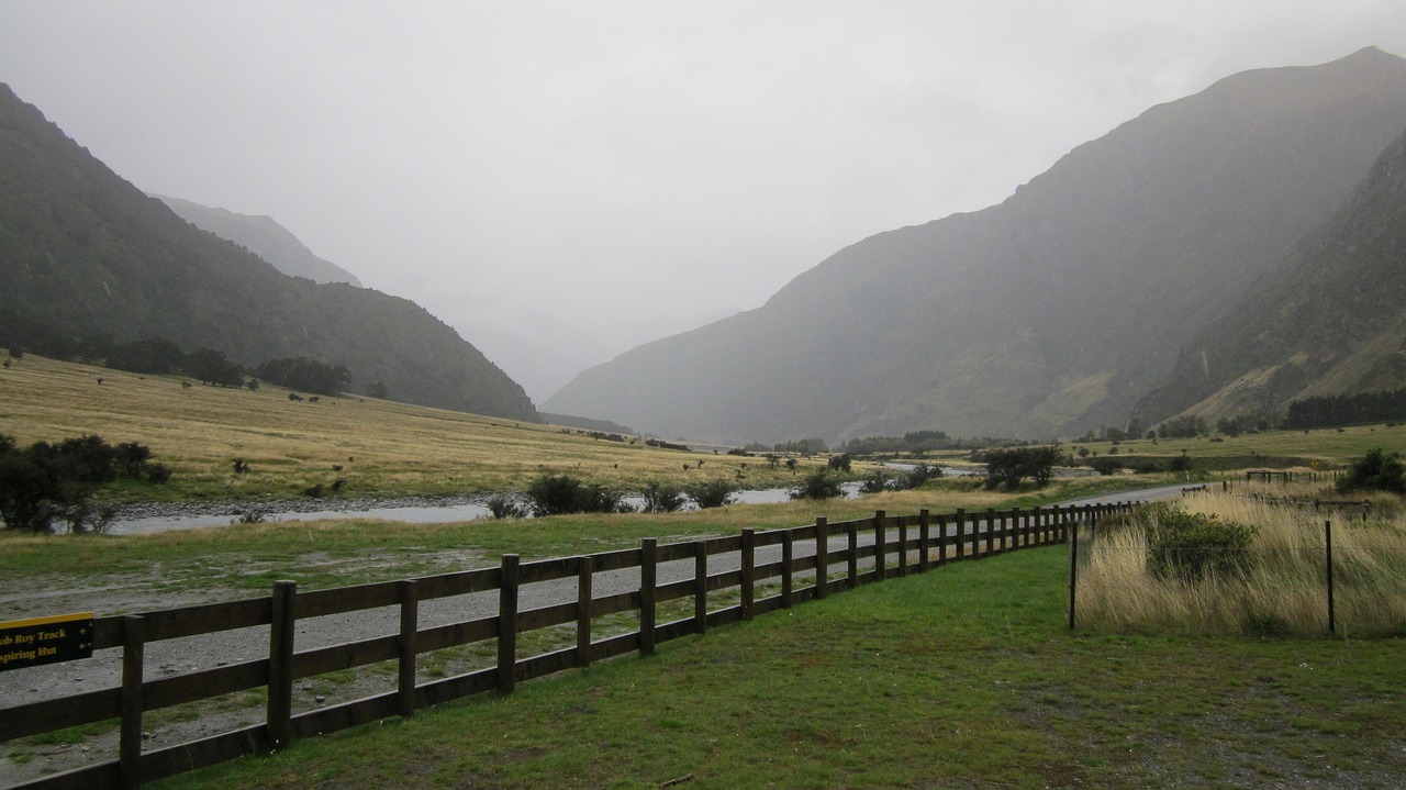 New Zealand's Skilled Residence Pathways: Barrier or Opportunity for Indian Workers?
