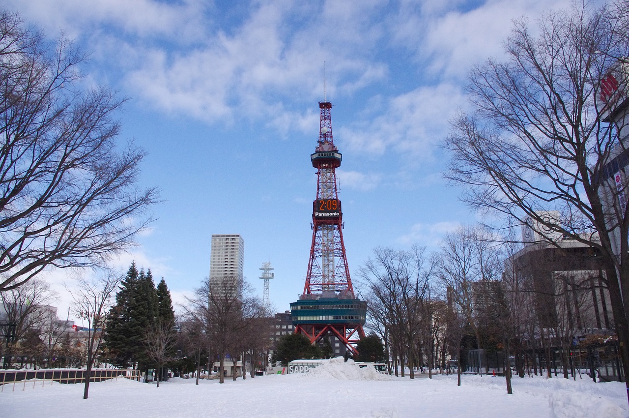 Japan's New Immigration Reforms: Online Screening and Visa Fee Hikes Explained