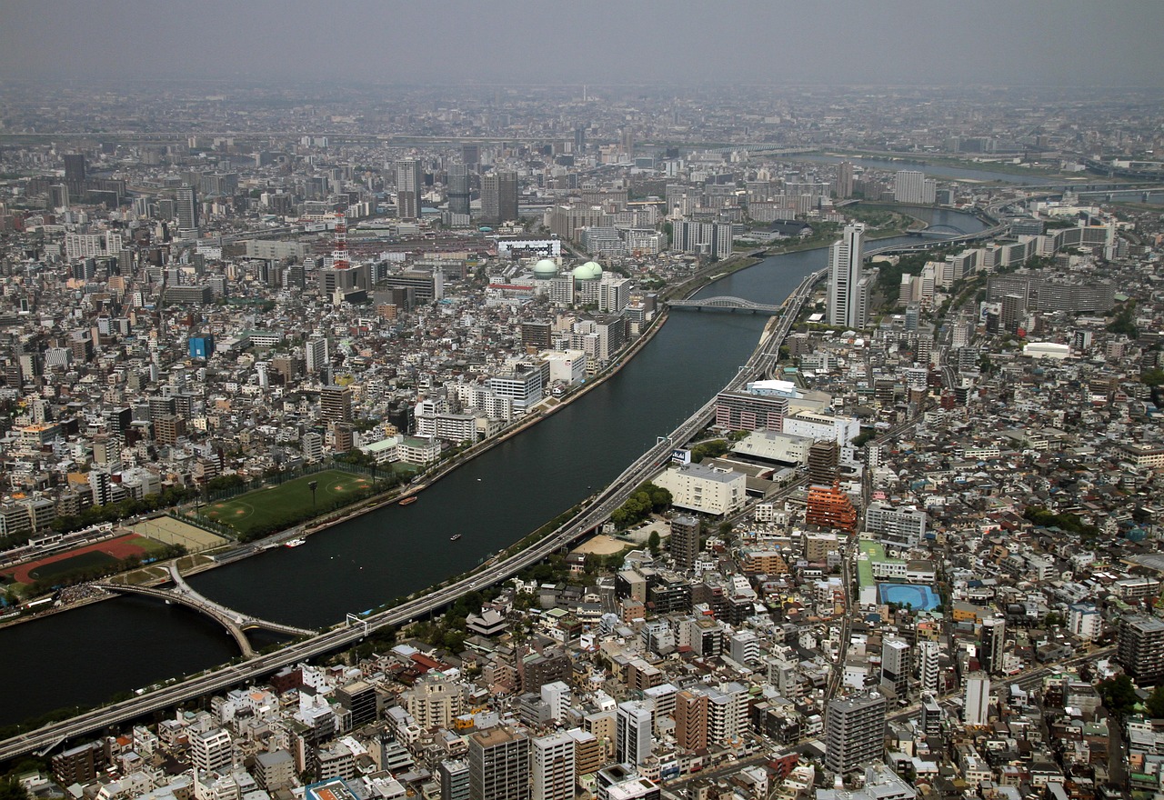 Japan's Cyber Patrols: A Digital Revolution in Immigration Enforcement