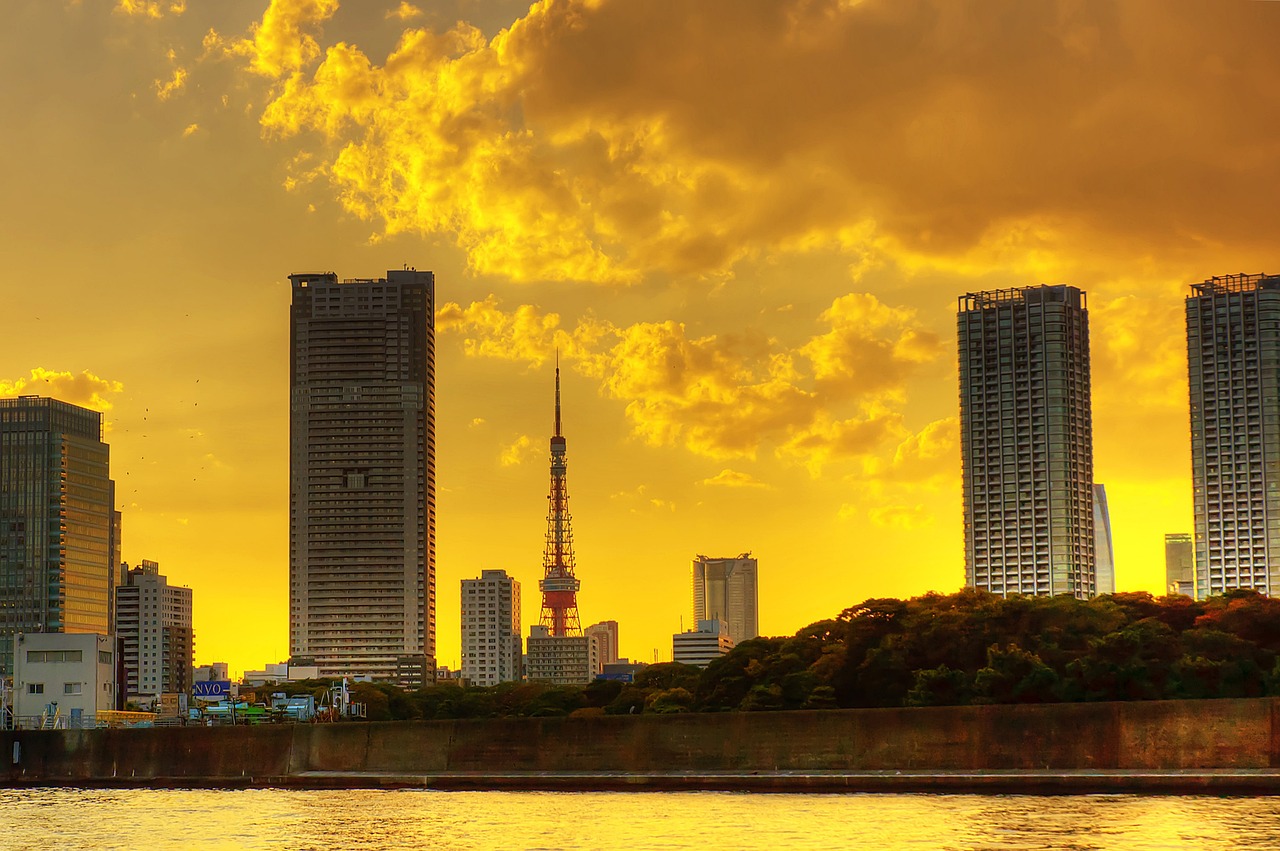 Japan's Visa-Free List Sparks Debate: What It Means for African Travelers