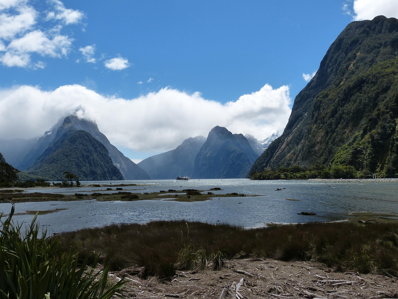 Upcoming Immigration Restrictions: A Potential Strain on NZ-India Relations