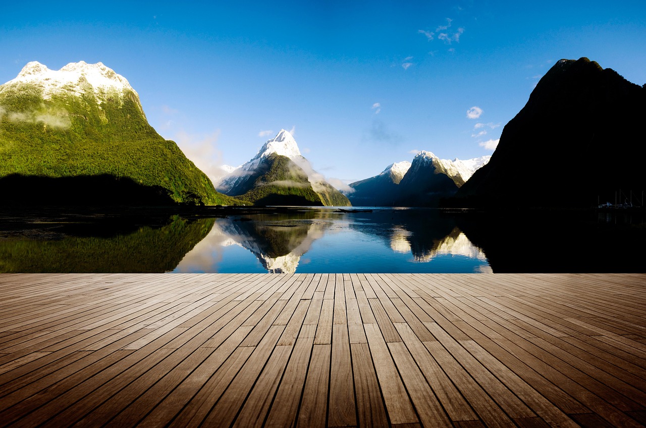 Skilled Migrant Category Reforms: New Pathways to Success in New Zealand
