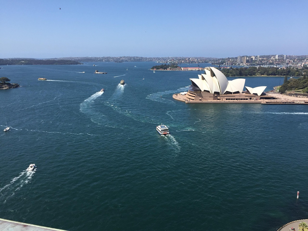 Visa Slowdown Hits Au Pair Industry: What Australian Families Need to Know