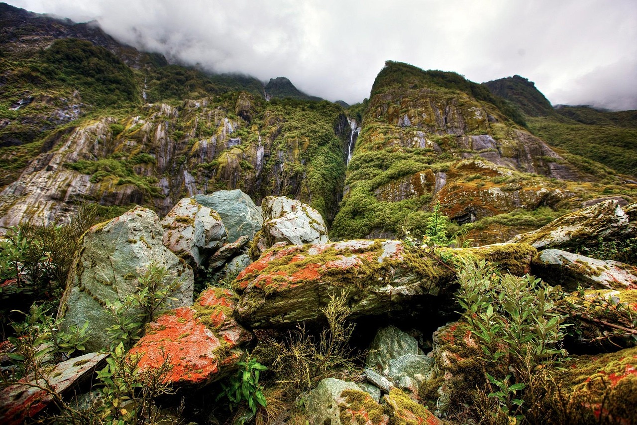 New Zealand: mountain, cliff, mountainside, landscape, nature, wilderness, rainforest, south island, urzeitlich, new zealand, cliff, cliff, rainforest, rainforest, rainforest, rainforest, rainforest, new zealand, new zealand, new zealand