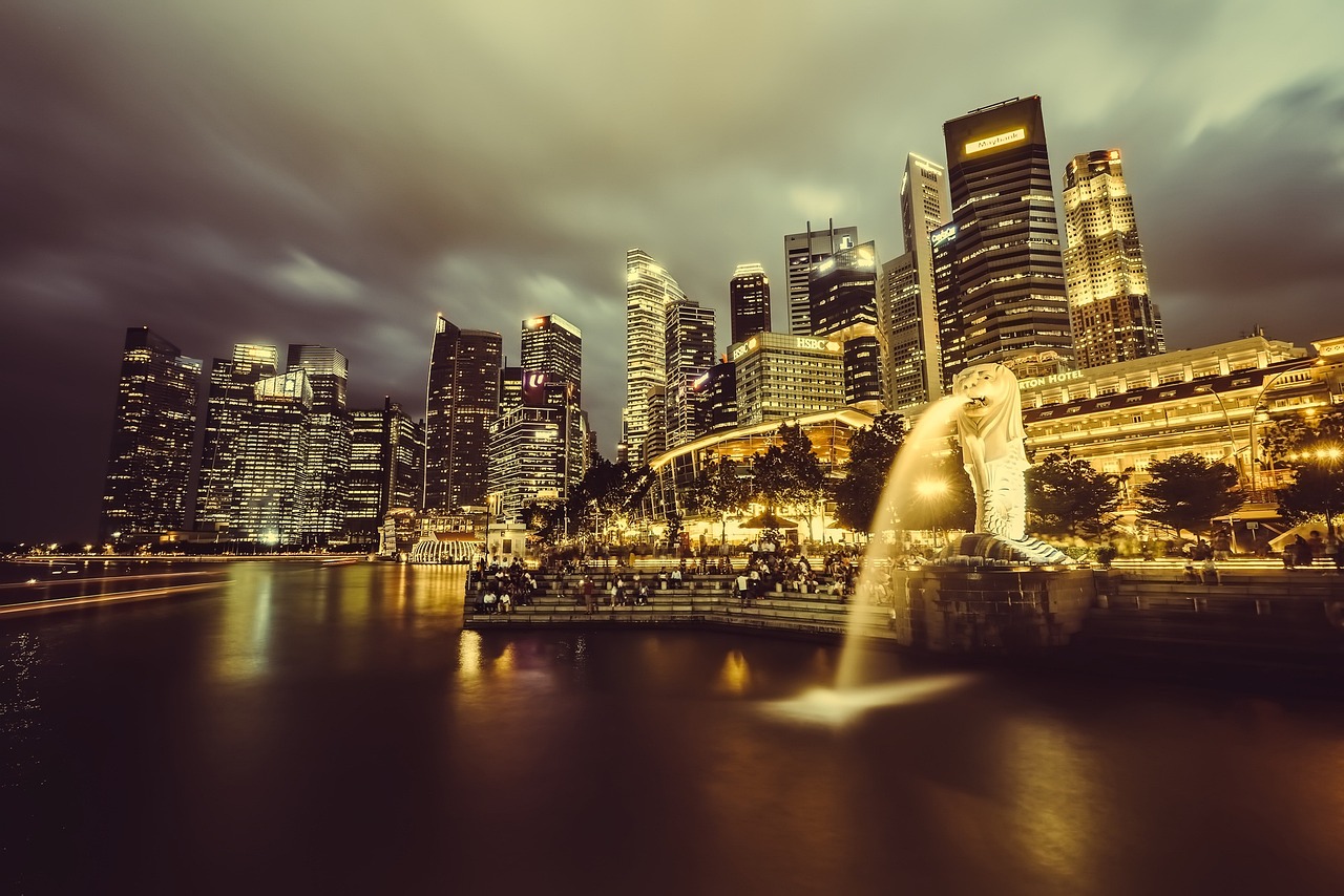 Singapore's Offer of Technology Support to Strengthen Bangladesh's Border and Immigration Security