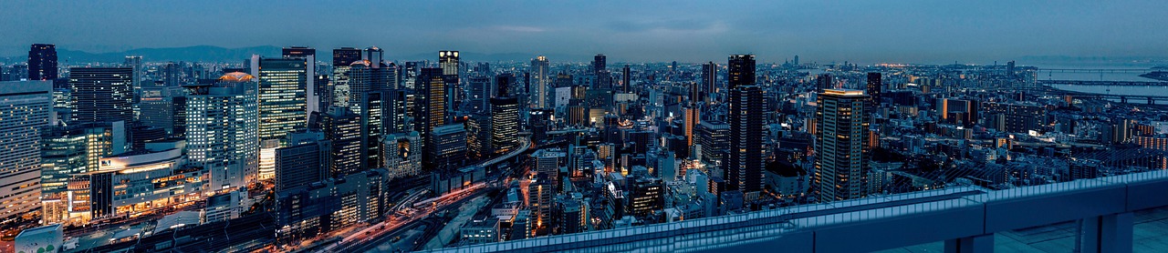 Stricter Visa Rules Prompt Foreign Business Owners to Exit Japan