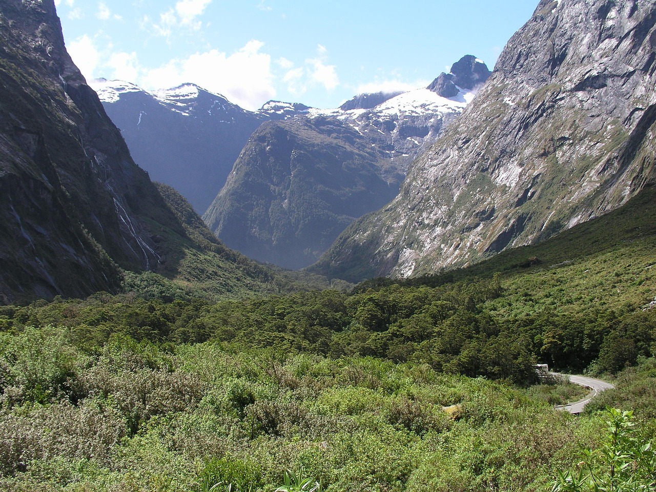 New Zealand's Proposed Catalyst Visa: A Gateway for Exceptional Talent
