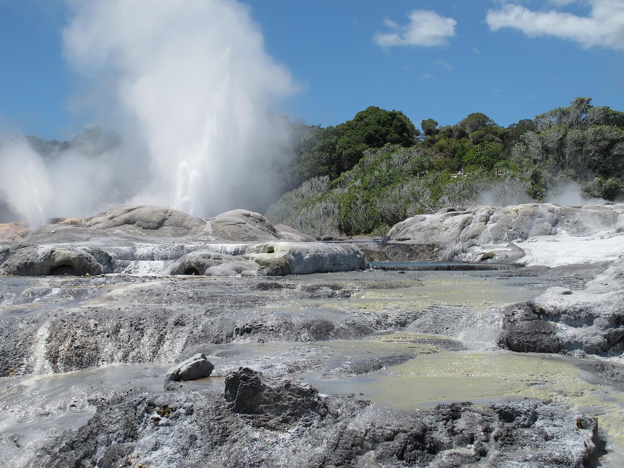 New Zealand: geothermal, fountain, new zealand, geothermal, geothermal, new zealand, new zealand, new zealand, new zealand, new zealand