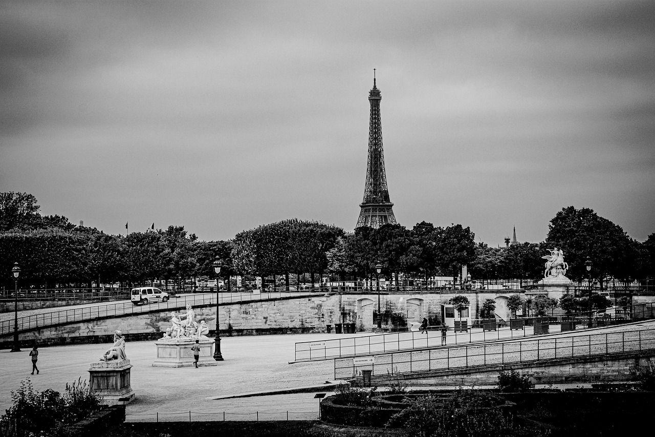 France: paris, eiffel tower, city, landmark, black and white, france