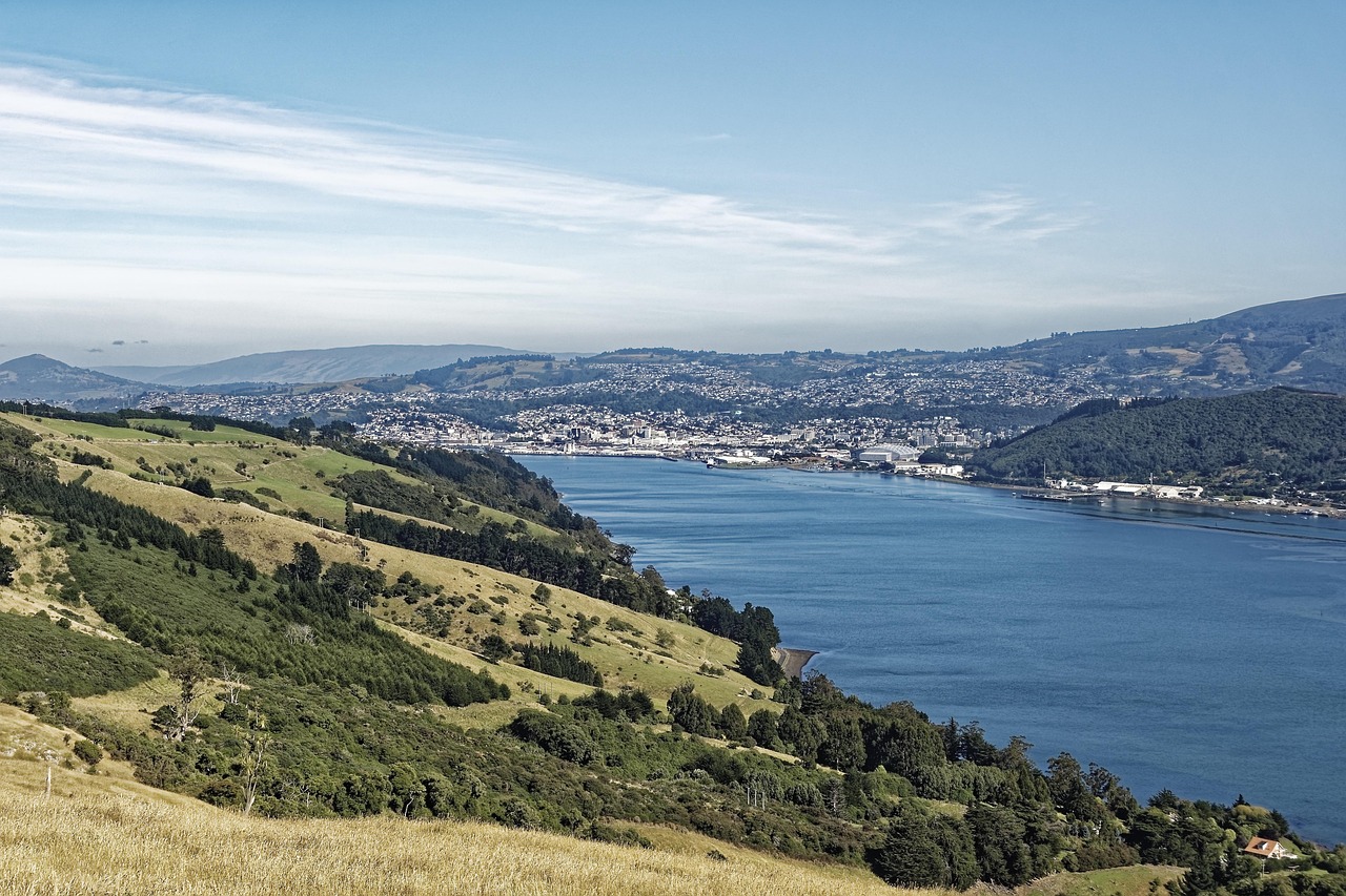 New Zealand: new zealand, otago harbour, natural harbour, port, dunedin, city, otago, south island, bay, landscape, heaven, clouds, blue, nature, water