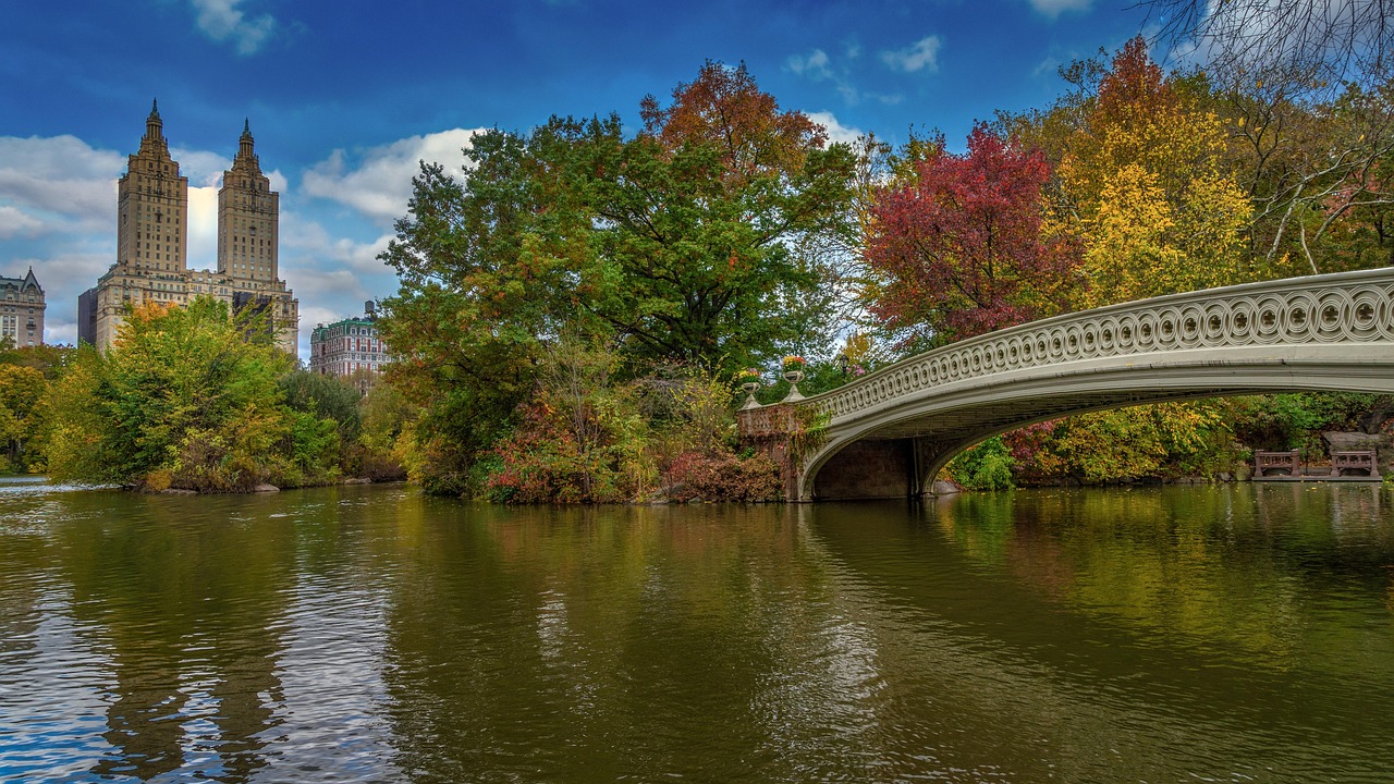 USA: new york, central park, manhattan, nyc, urban, city, nature, trees, usa, park, america, fall, architecture, lake, colorful, the outside, central park, central park, central park, central park, central park