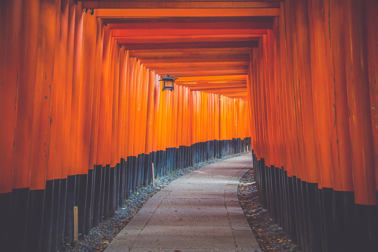 Japan: shinto shrine gates, torii tunnel, path, fushimi-inari taisha, passage, pathway, wood, landmark, architecture, art, torii gate, famous, japanese culture, kyoto, japan, pathway, japan, japan, japan, japan, japan