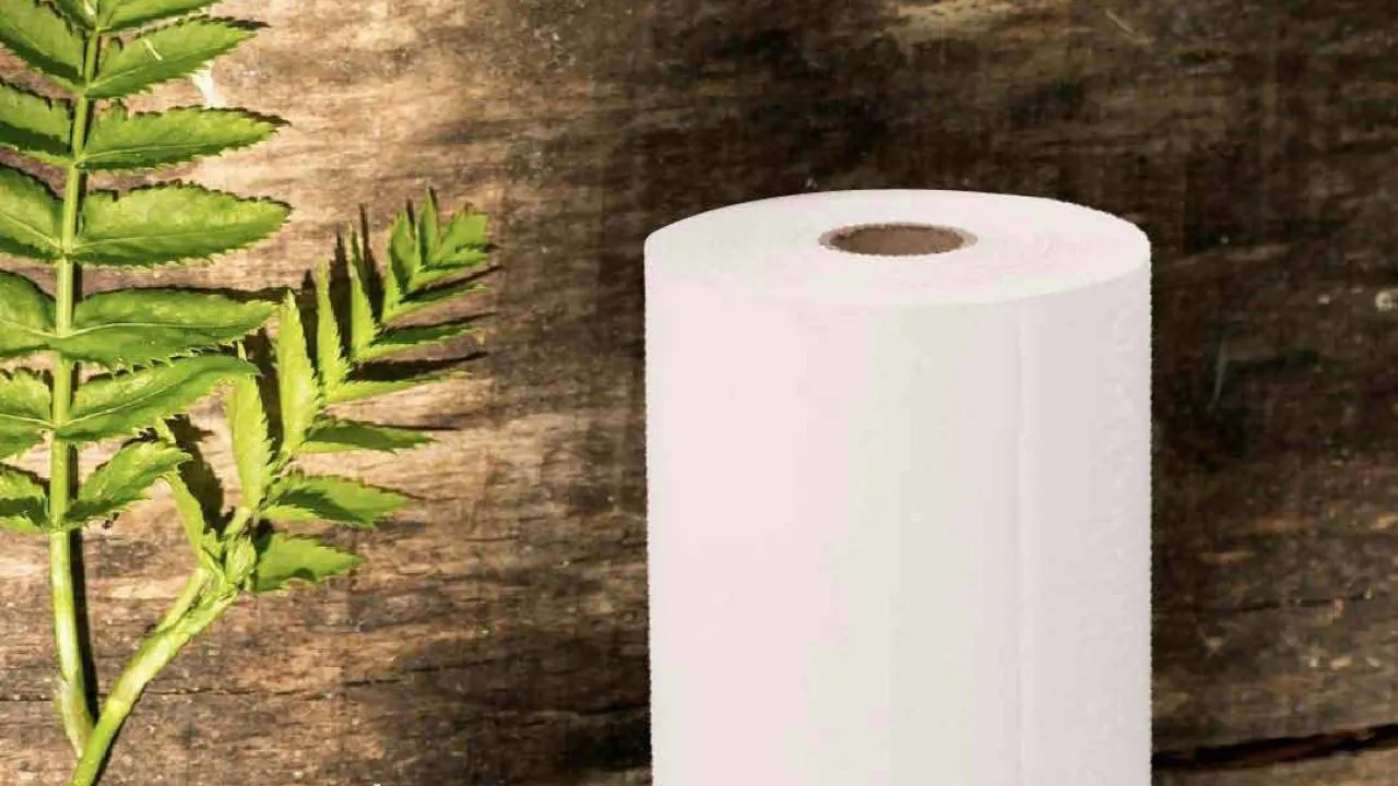 Rollos térmicos: ahorra dinero y cuida el ambiente