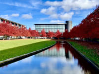 The University of Warwick campus