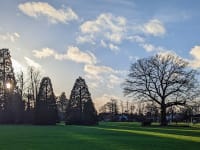 University of Reading campus