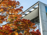 Technische Universität Dresden campus