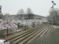 Georg-August-Universität Göttingen campus