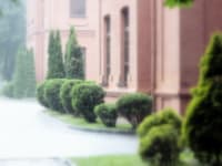 Belarusian State University campus