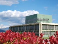University of Ioannina campus