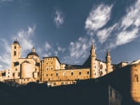 Universita degli Studi di Urbino Carlo Bo campus