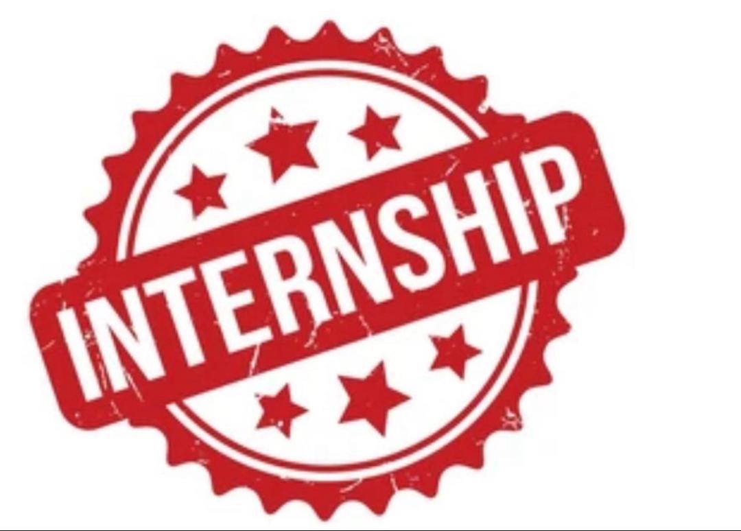 Biomedical Sales Engineer Intern